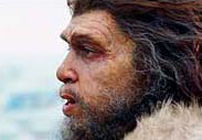 Homo neanderthalis
