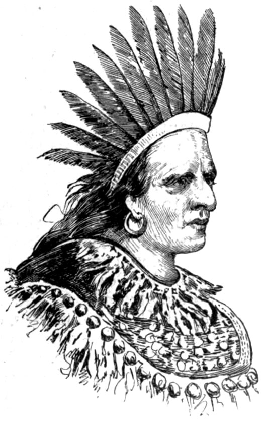 Chief Shicellamy