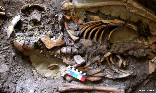 Caucasus archaeological find