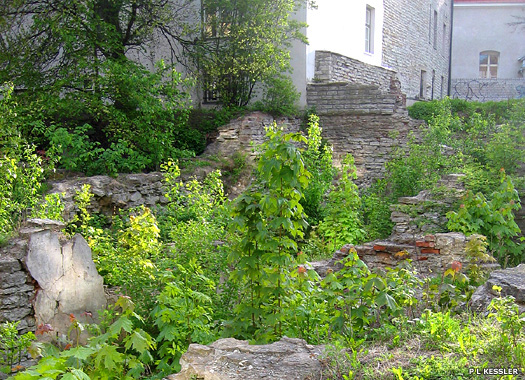 Harju street ruins in Tallinn
