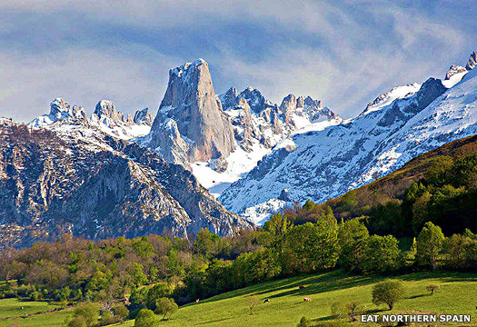 Mountains of the Picos de Europa in Spain