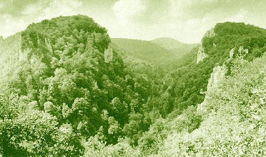Borisovskoe Gorge in Georgia