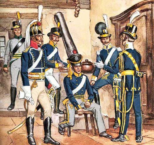 Swedish Troops in the Napoleonic Wars