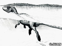 Sketch of a swimming theropod dinosaur (Guillaume Suan, University Lyon)